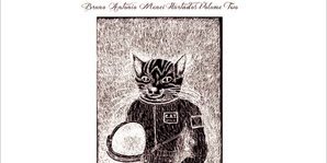 BRUNO ANTONIO MENEI HURTADO, VOLUME II